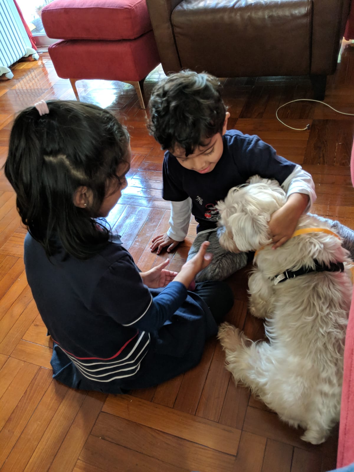 WhatsApp Image 2019-02-28 at 16.51.04