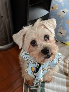 WhatsApp Image 2019-03-09 at 19.40.17