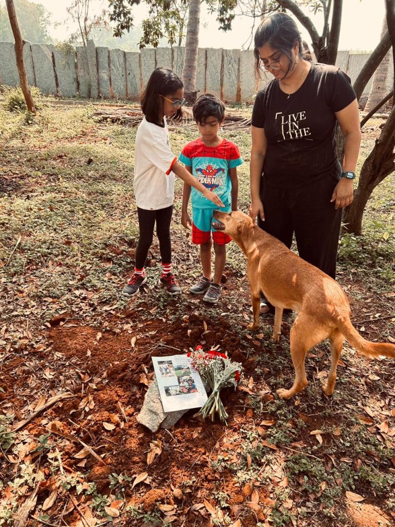 Charlie's friends and watchdogs